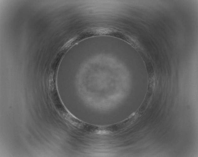 X0000079320360200612011848