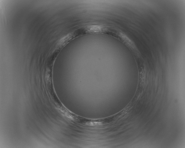 X0000079320361200612011848