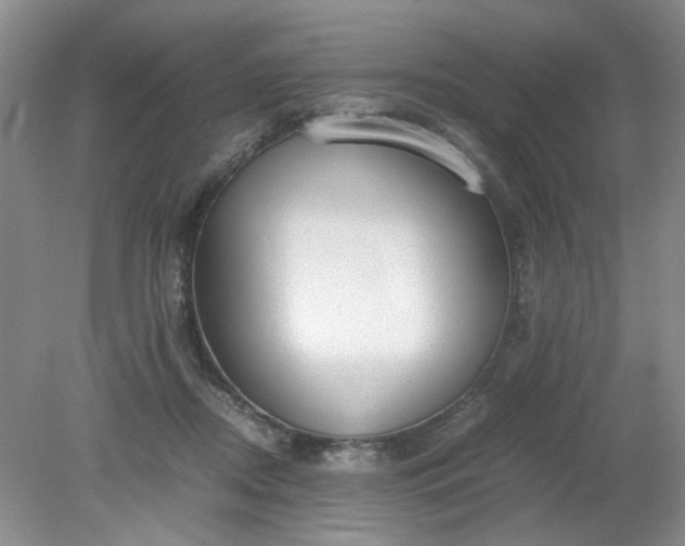 X0000079320362200612011848