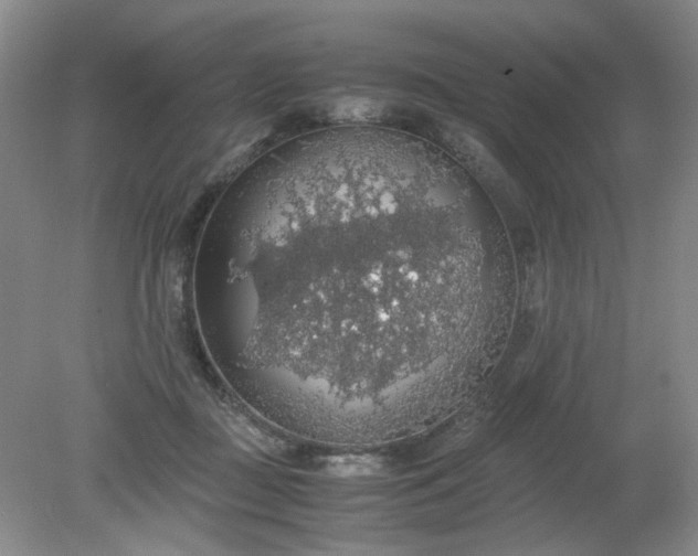 X0000079320363200612011848