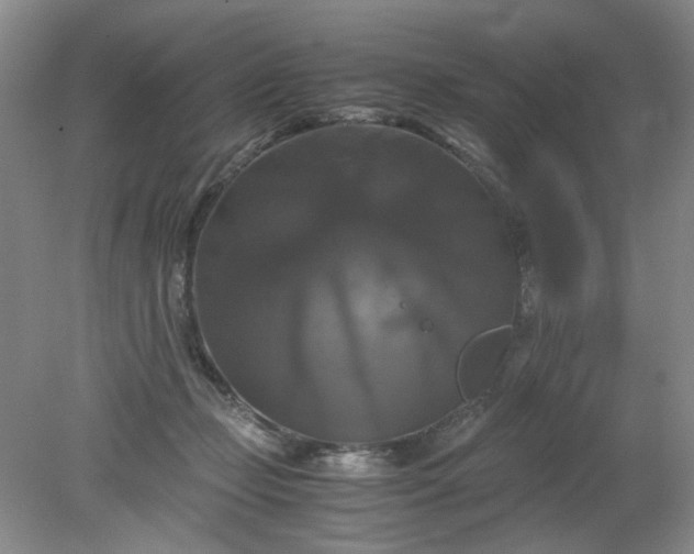 X0000079320365200612011848