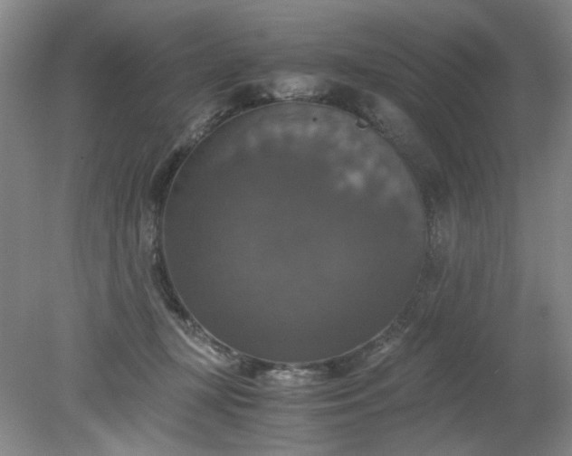 X0000079320367200612011848