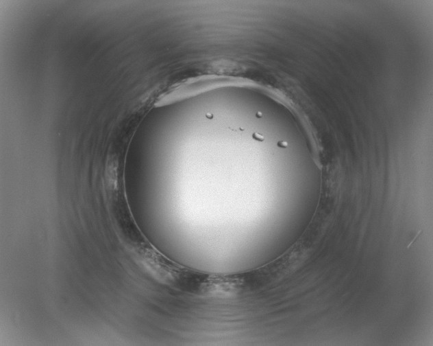 X0000079320368200612011848