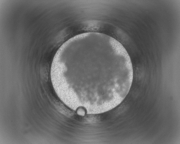 X0000079320370200612011848