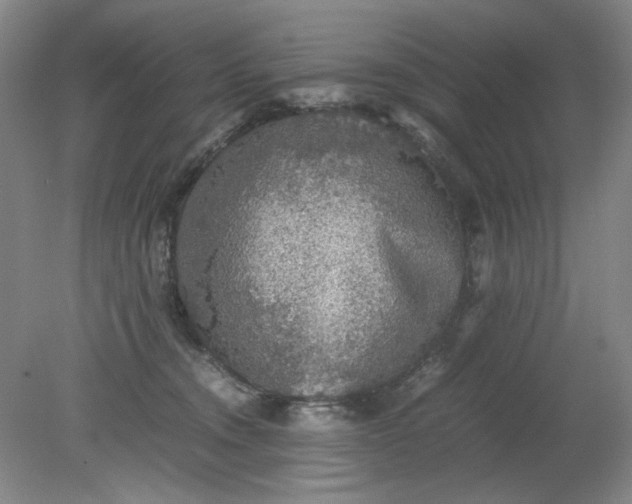 X0000079320372200612011848