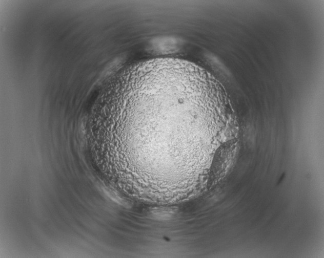 X0000079320373200612011848