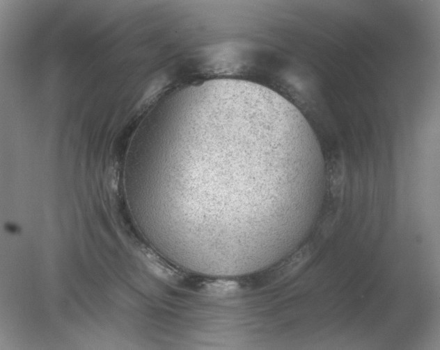 X0000079320374200612011848