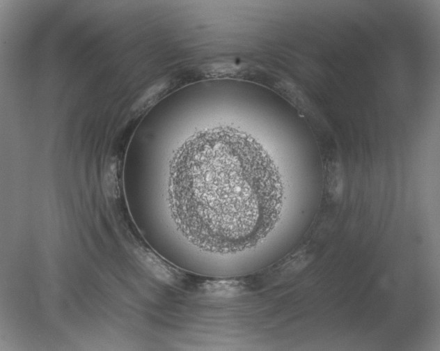 X0000079320378200612011848