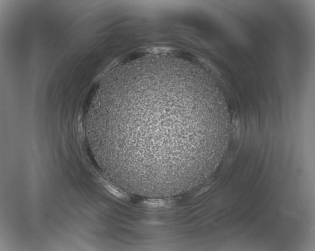 X0000079320381200612011848