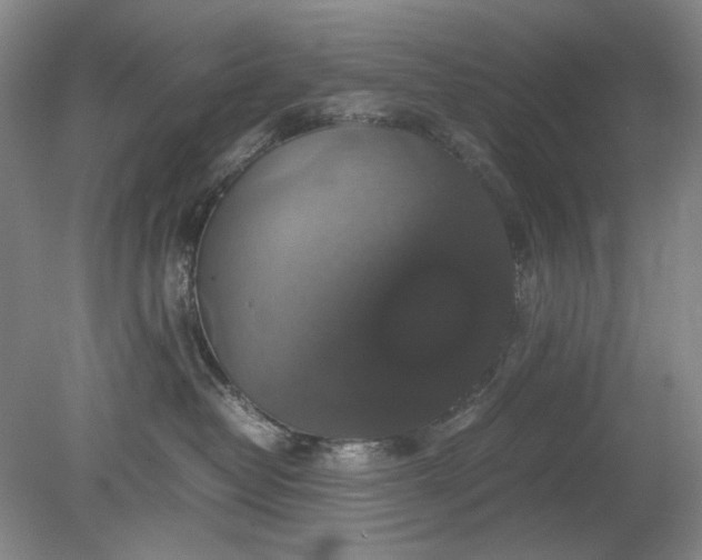 X0000079320382200612011848