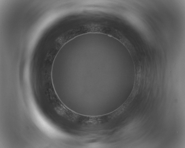 X0000079320383200612011848