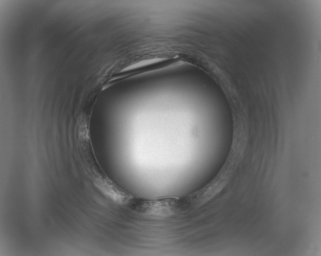 X0000079320384200612011848