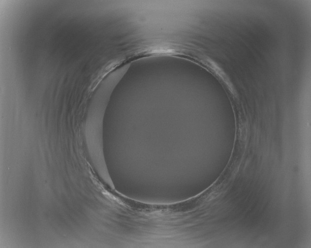 X0000079320385200612011848