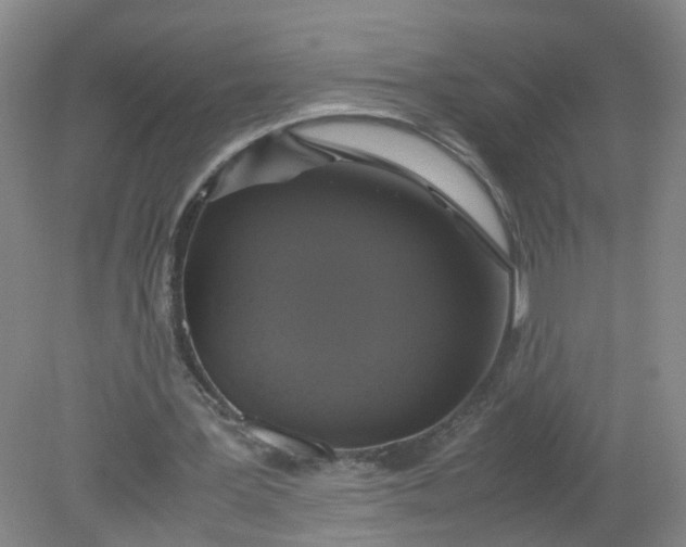 X0000079320387200612011847