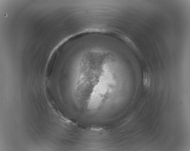 X0000079320388200612011847