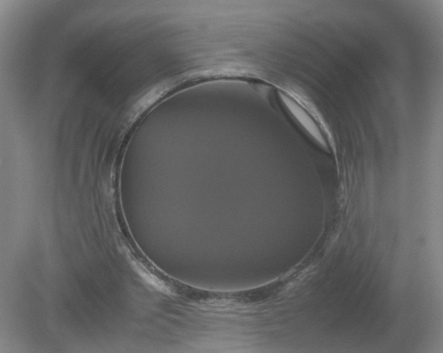 X0000079320389200612011847