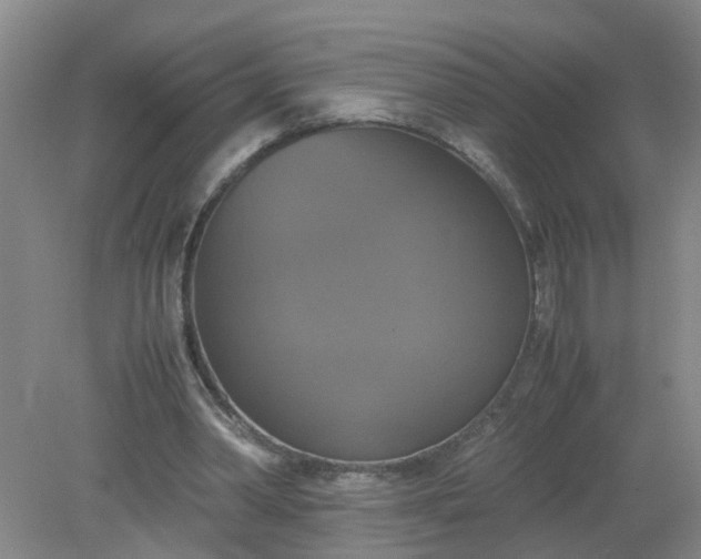 X0000079320390200612011847