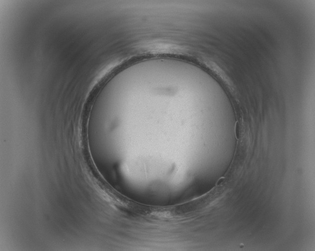 X0000079320391200612011847