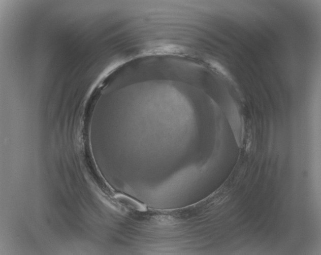 X0000079320392200612011847