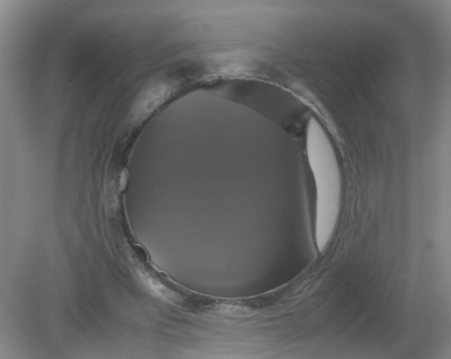 X0000079320393200612011847