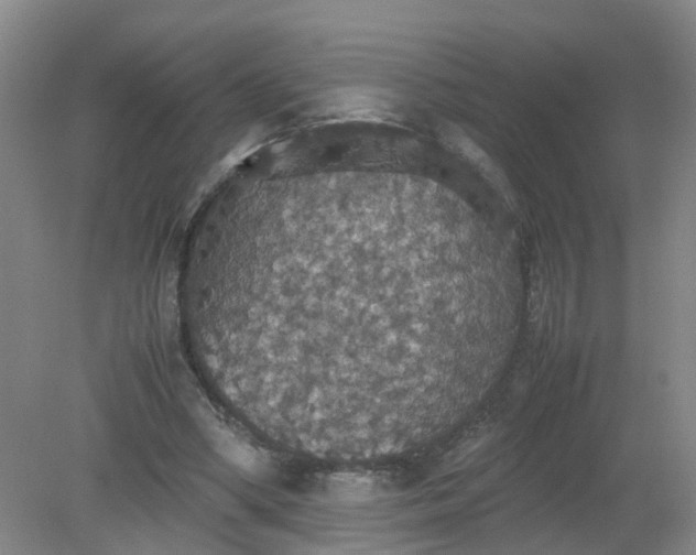 X0000079320394200612011847