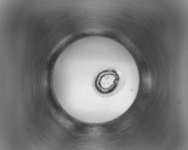 X0000079320396200612011847