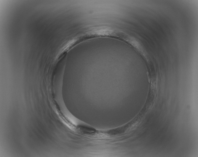 X0000079320397200612011847