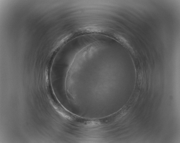 X0000079320398200612011847