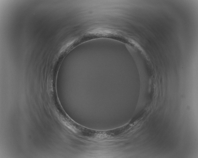 X0000079320399200612011847