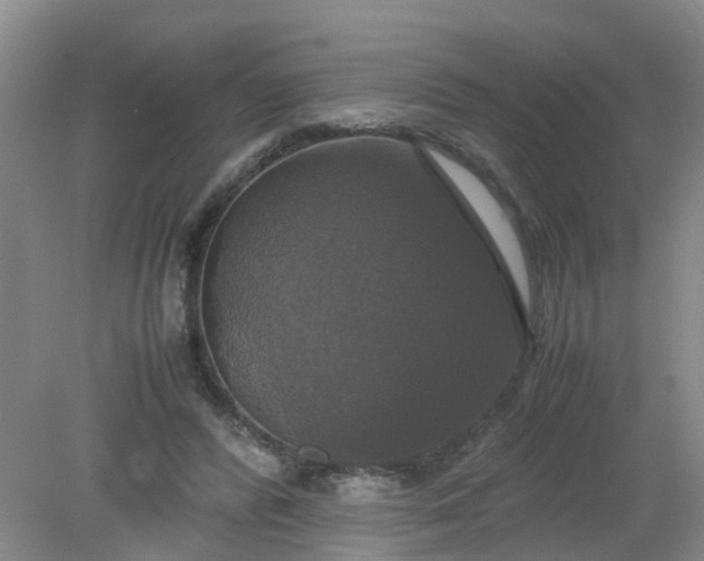 X0000079320400200612011847