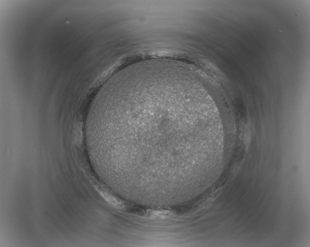 X0000079320401200612011847