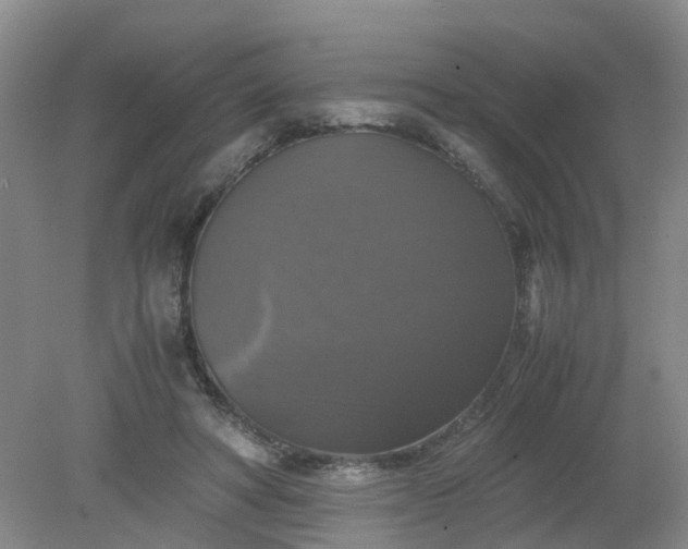 X0000079320402200612011847