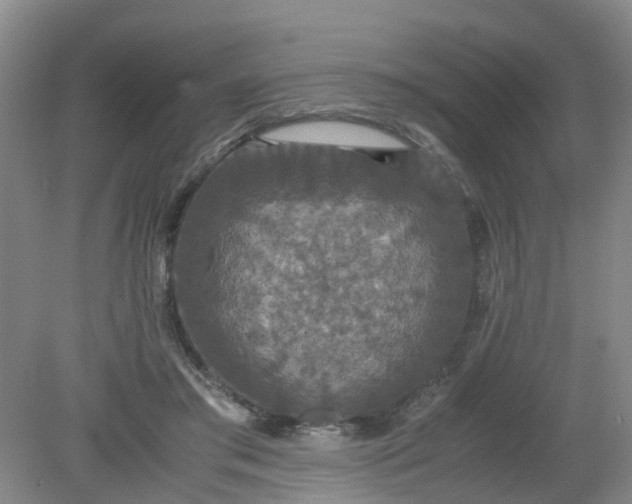 X0000079320405200612011847