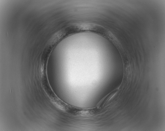 X0000079320406200612011847