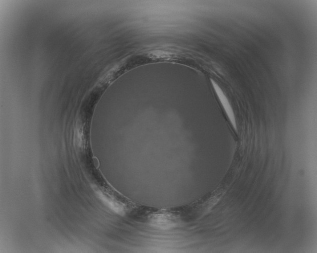 X0000079320408200612011847