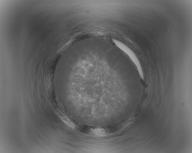 X0000079320409200612011847