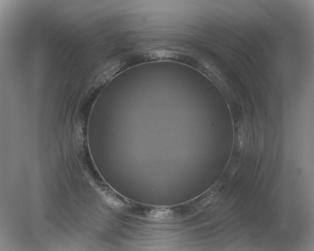 X0000079320410200612011847