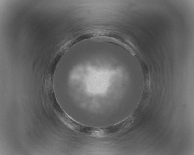 X0000079320411200612011847