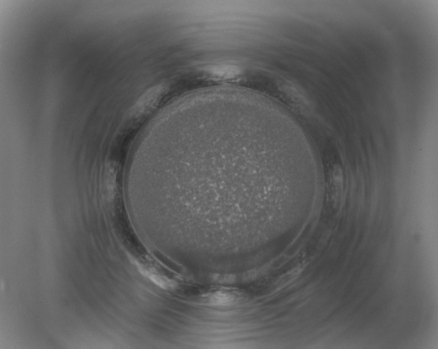 X0000079320412200612011847