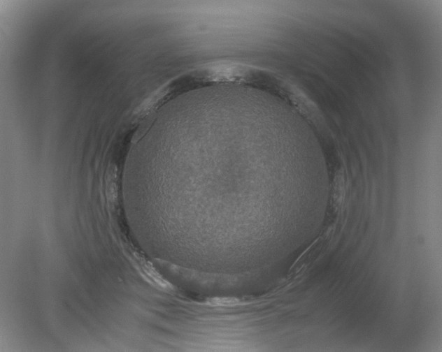 X0000079320413200612011847