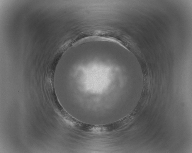 X0000079320415200612011847