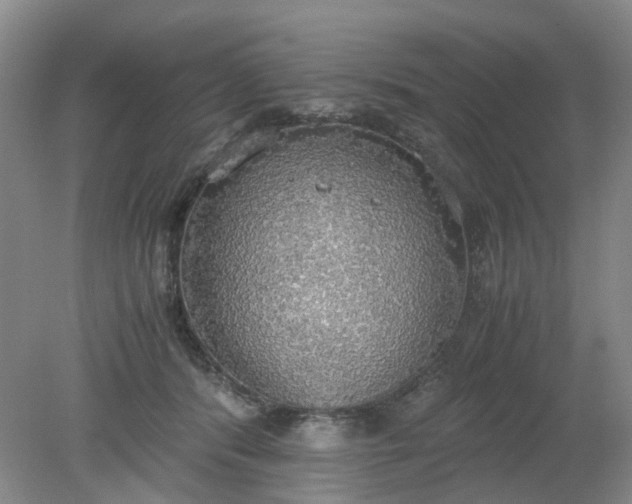 X0000079320416200612011847