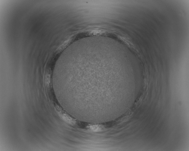 X0000079320417200612011847