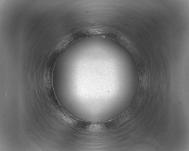 X0000079320418200612011847