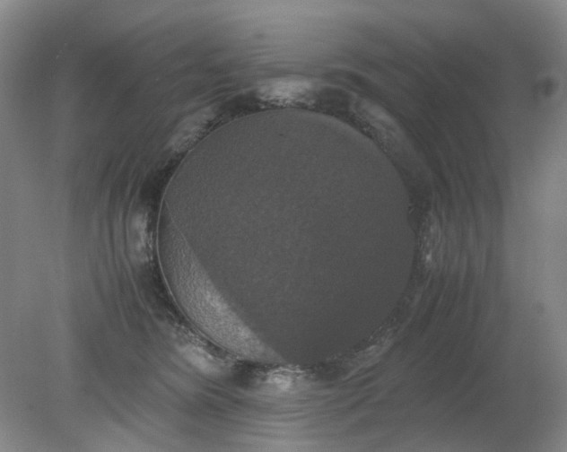 X0000079320420200612011847