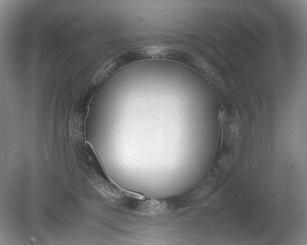 X0000079320421200612011847