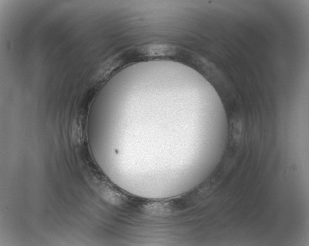 X0000079320422200612011847