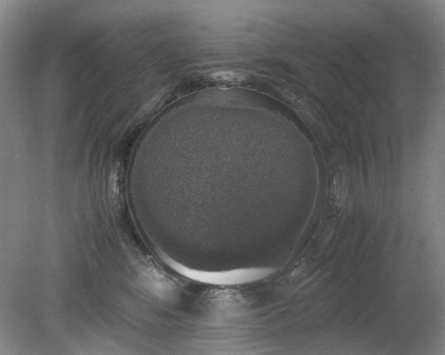 X0000079320424200612011847