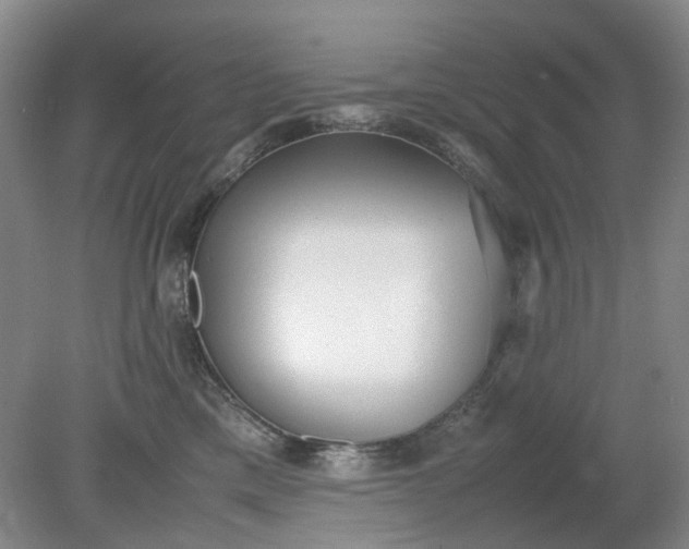 X0000079320425200612011847