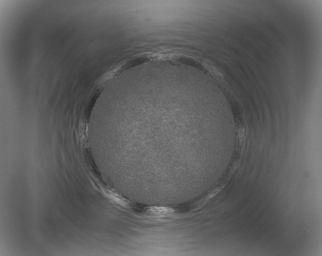 X0000079320429200612011847